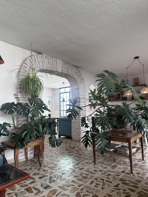 Plant-filled interior with arched doorway and patterned floor at Café Carmín in Cholula